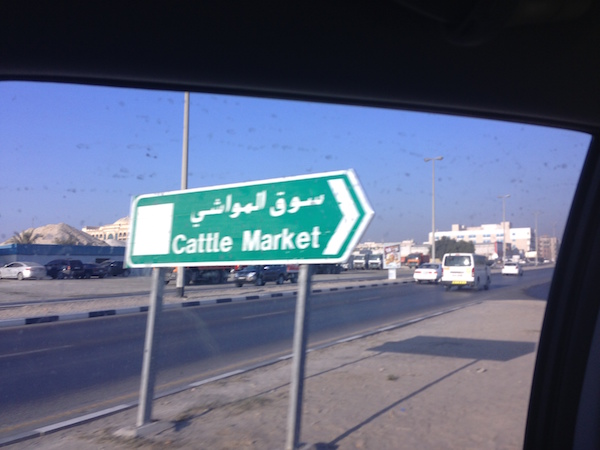 7.4 Heading to the Dubai Abattoir and Feedlot Market