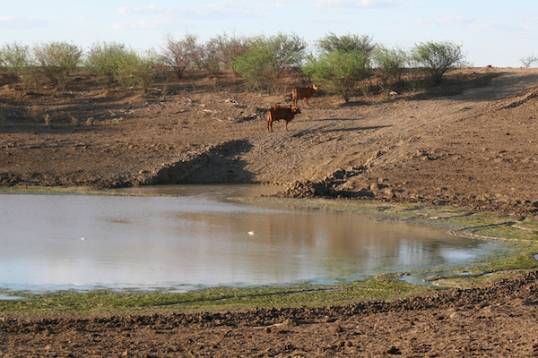 4.3 - Little Horse dam - 14 December 2013
