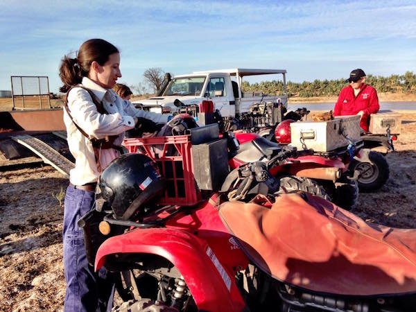 photo 3. Our team joined up with Barkly Landcare recently to conduct some pasture monitoring copy