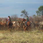 Wave and Camille on a muster.