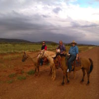 4.1 - Horse riding - Andrea, Tamsy and Amanda copy