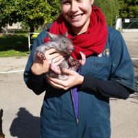 1.1 Me cuddling a baby wombat