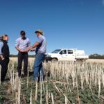 Blog 3 - vet students talking to the farmer in the canola paddock copy