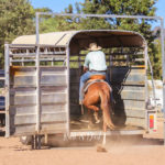 Blog 4 - Mat Broome loads his horse after just two sessions copy
