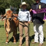 Katherine Show Supreme Exhibit - Rural College Pepper with Kristy Gamble and judge Terry Connor