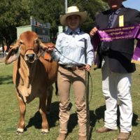 Katherine Show Supreme Exhibit - Rural College Pepper with Kristy Gamble and judge Terry Connor