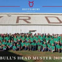 Bulls Head Muster PhotoFINAL copy
