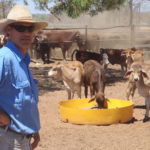 Helping weaners