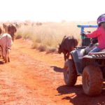 1.5 Ella bringing the tail of the mob along on the quad bike copy