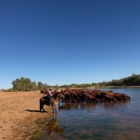 4 Ann holding weaners copy