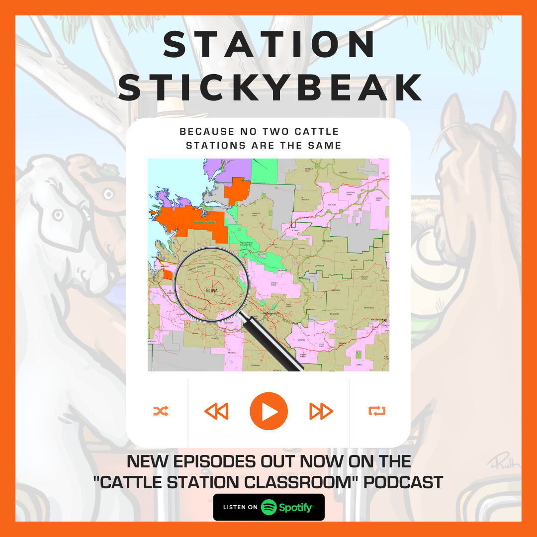STATION STICKYBEAK STATION STICKYBEAK