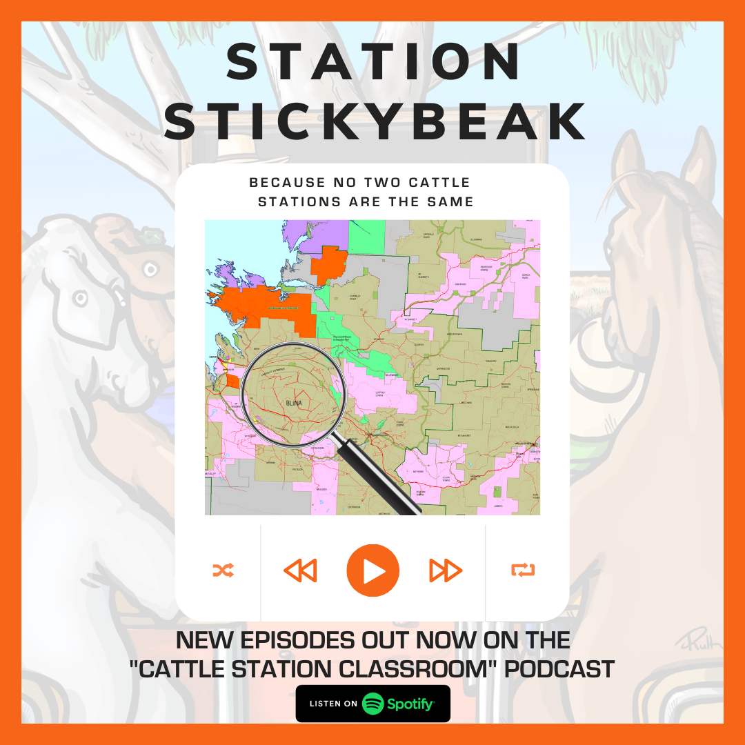 STATION STICKYBEAK